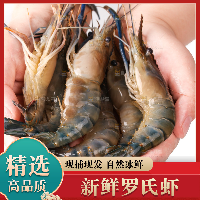 白底上的罗氏虾