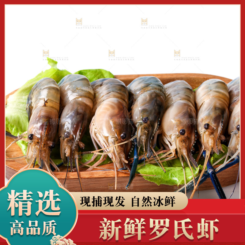 白底上的罗氏虾