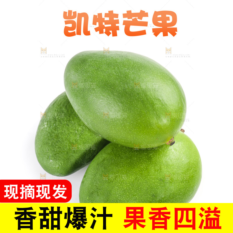 白底上的凯特芒果