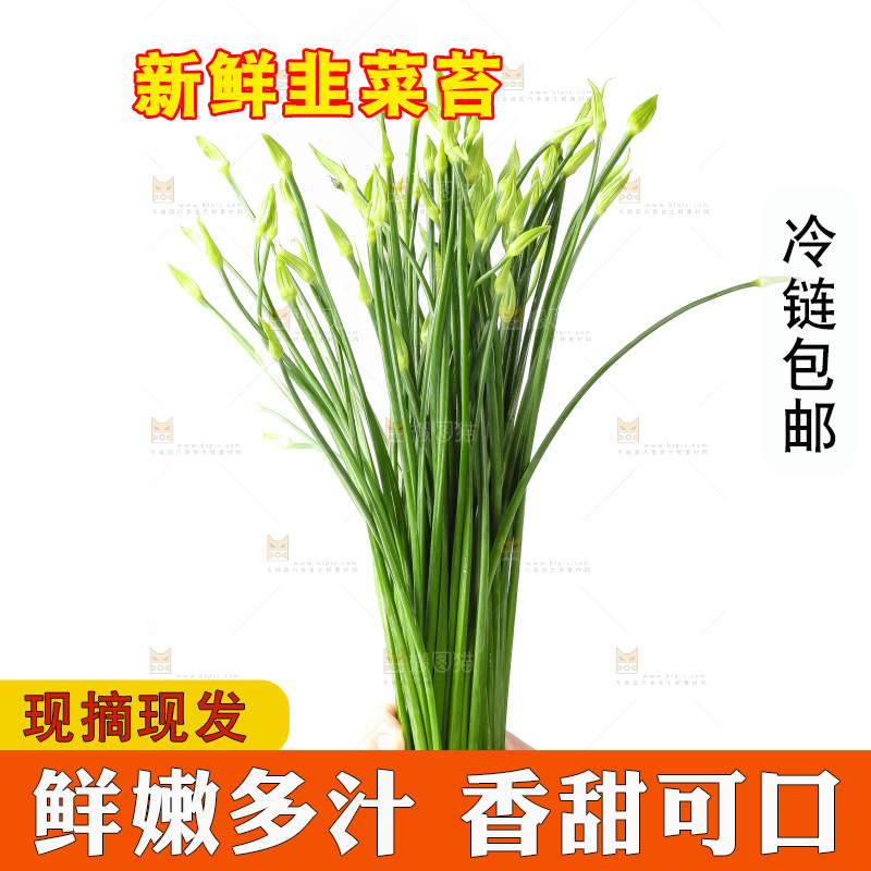 白底上的韭菜苔
