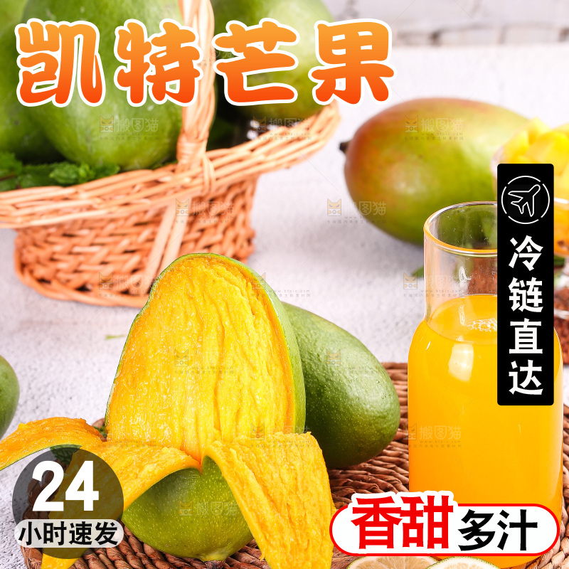 浅底上的凯特芒
