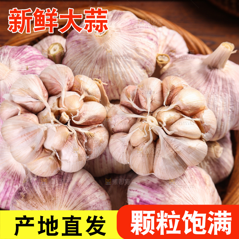 木底上的紫皮大蒜