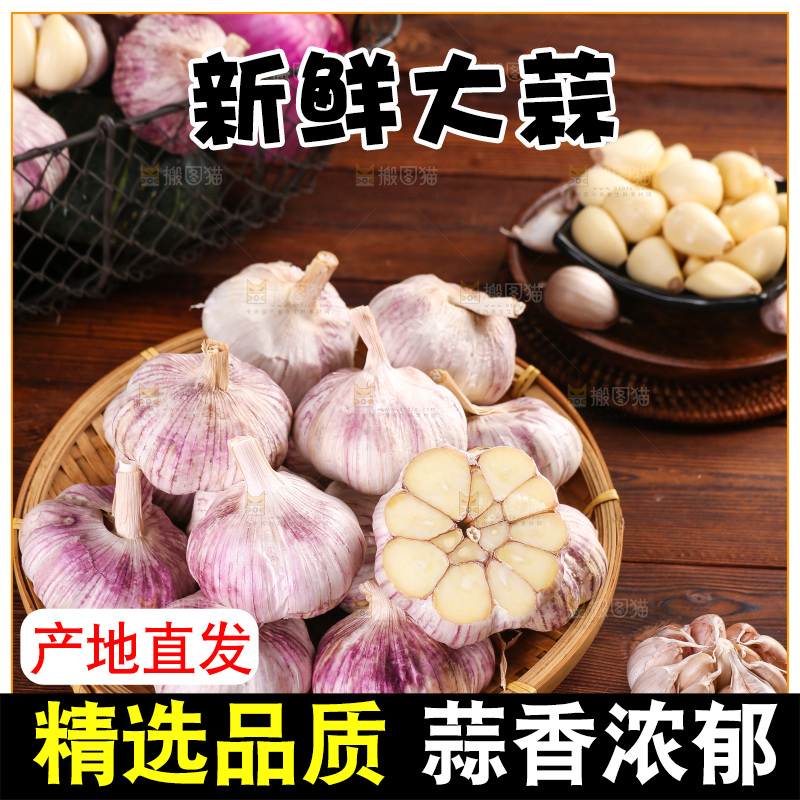木底上的紫皮大蒜