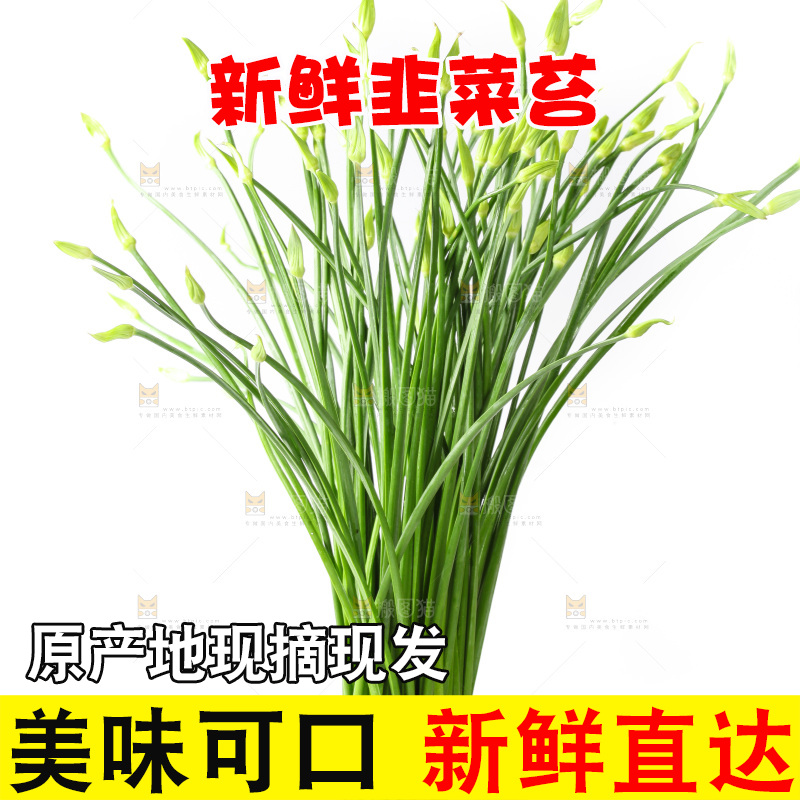 白底上的韭菜苔