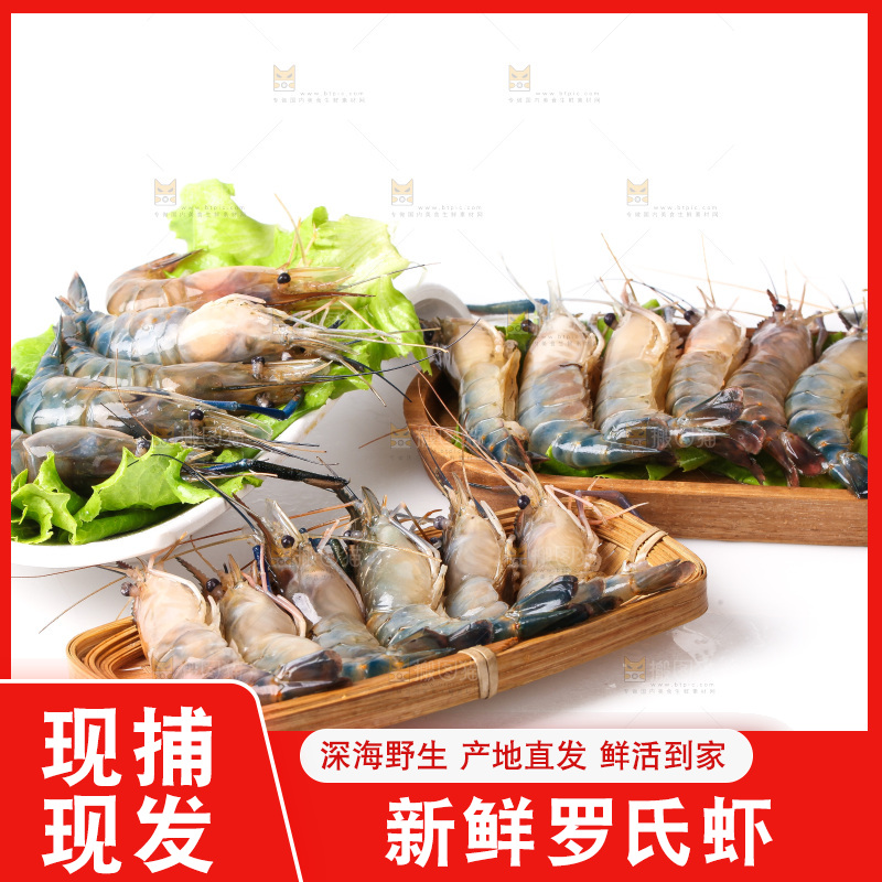 白底上的罗氏虾