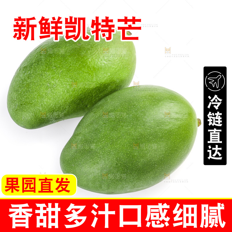 白底上的凯特芒果