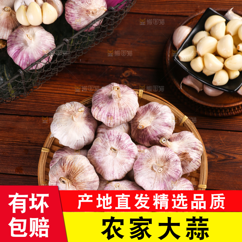 木底上的紫皮大蒜