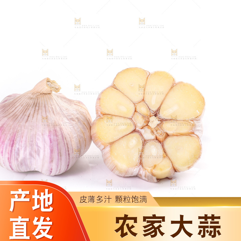 白底上的紫皮大蒜