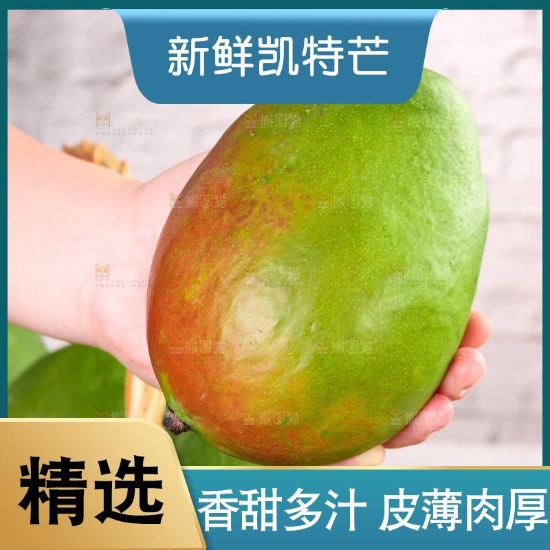 浅底上的凯特芒
