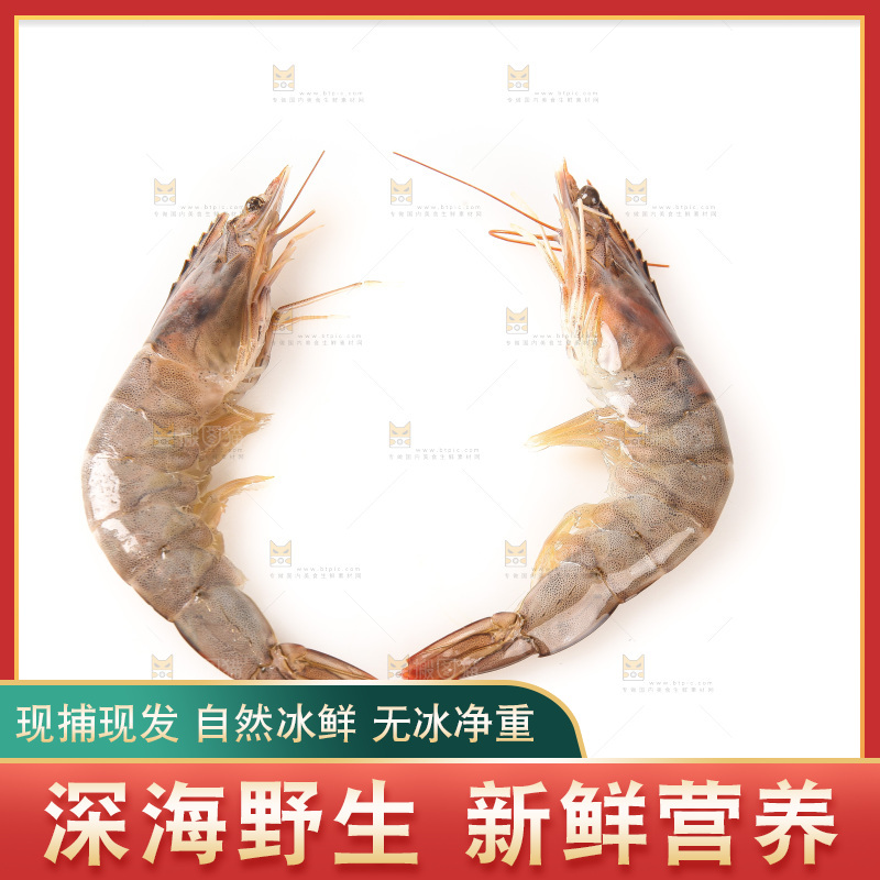 白底上的大虾