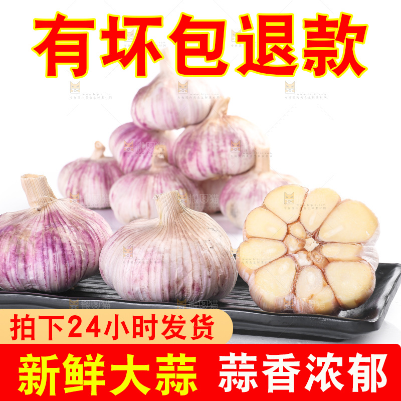 白底上的紫皮大蒜