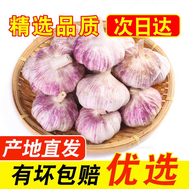 白底上的紫皮大蒜