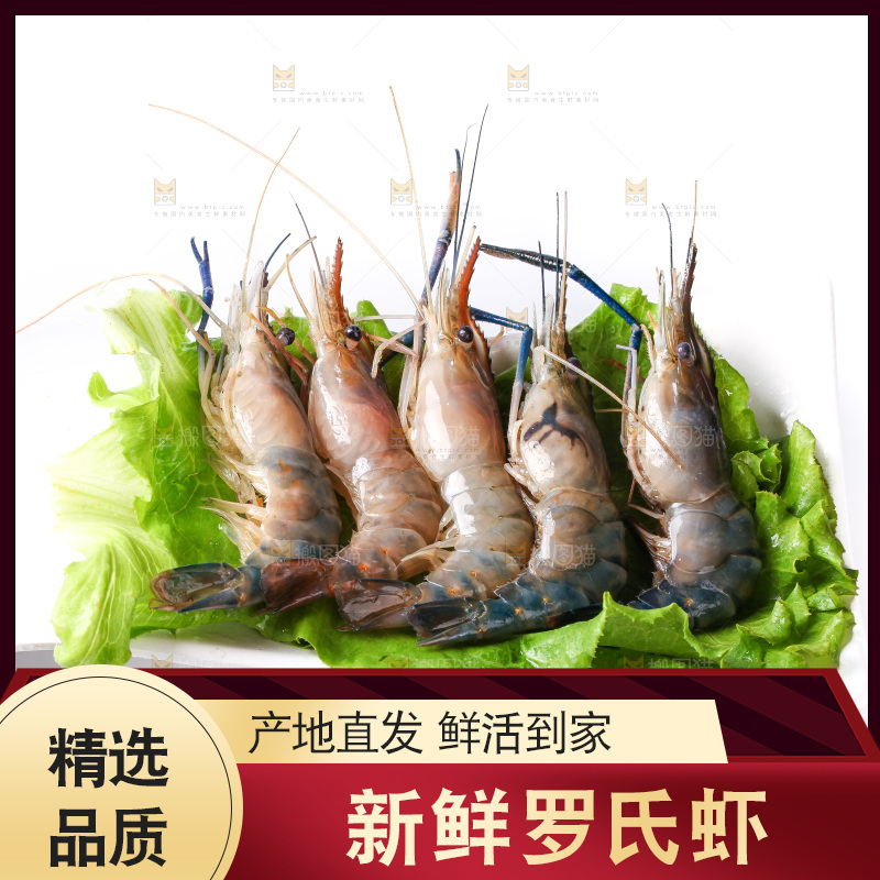 白底上的罗氏虾