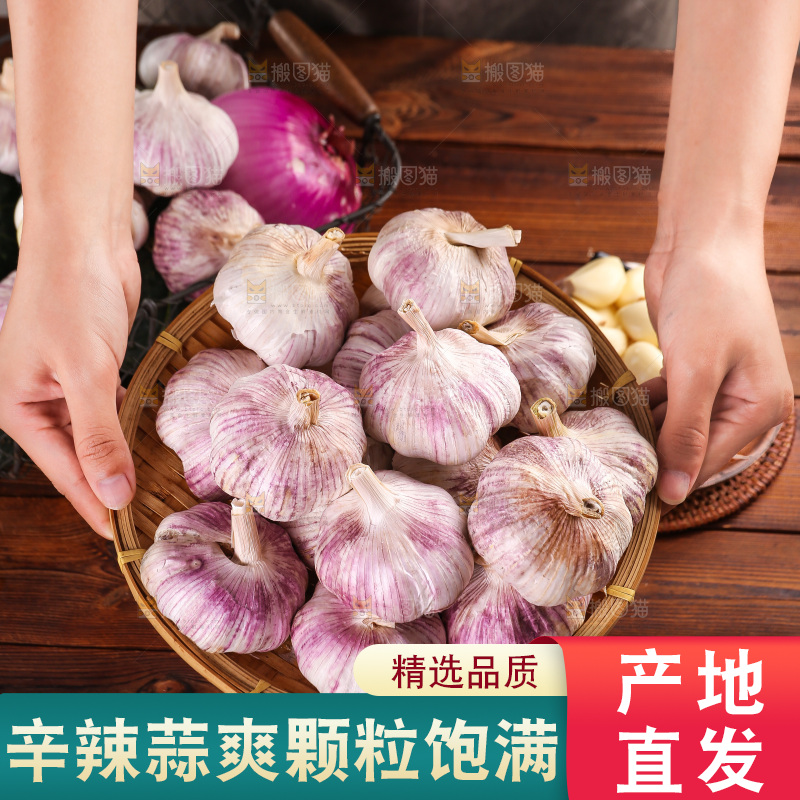 木底上的紫皮大蒜