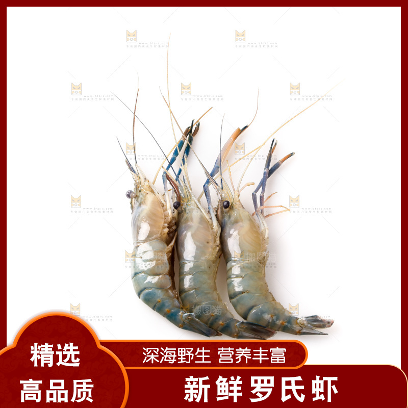 白底上的罗氏虾