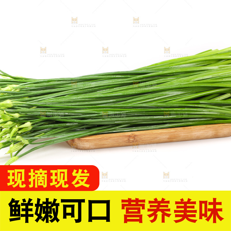 白底上的韭菜苔