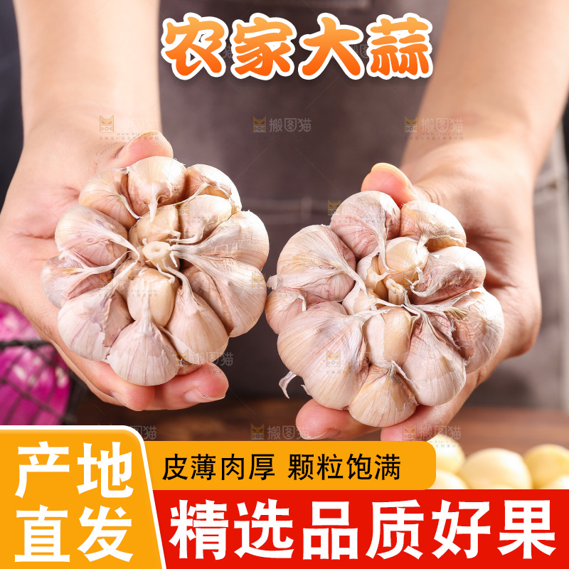 木底上的紫皮大蒜