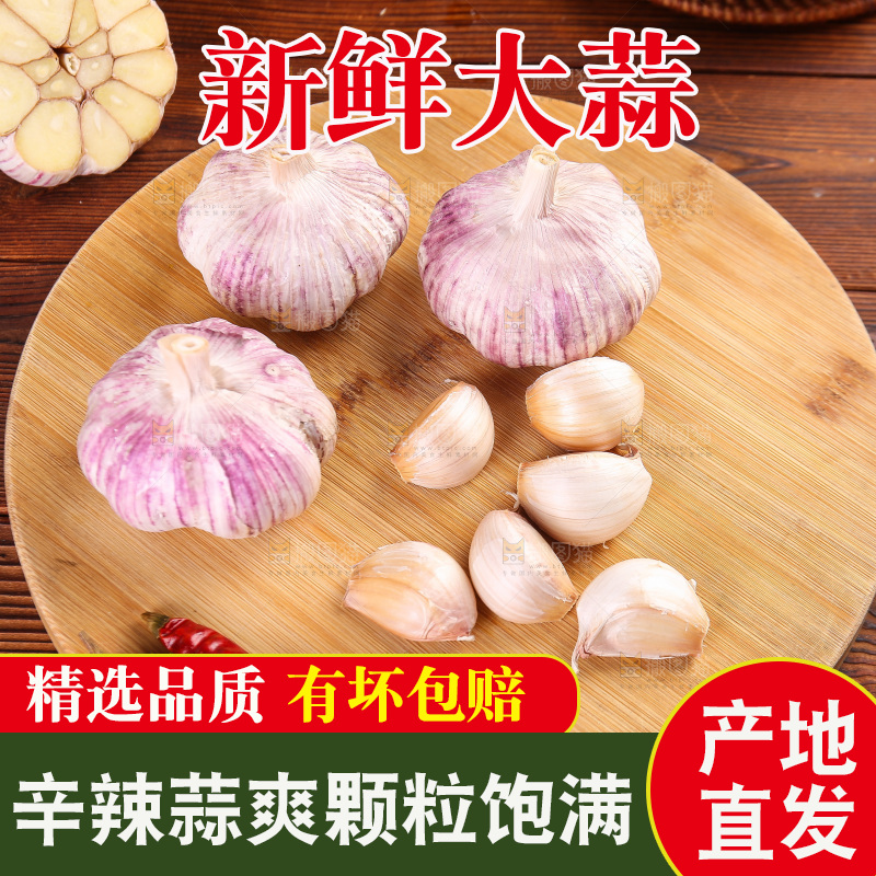 木底上的紫皮大蒜