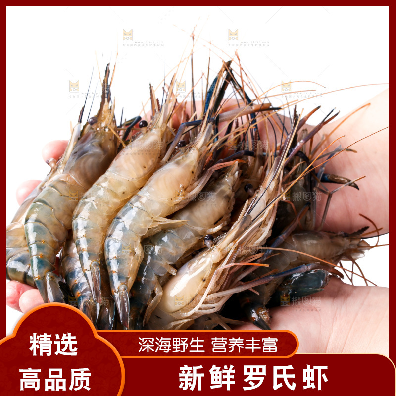 白底上的罗氏虾