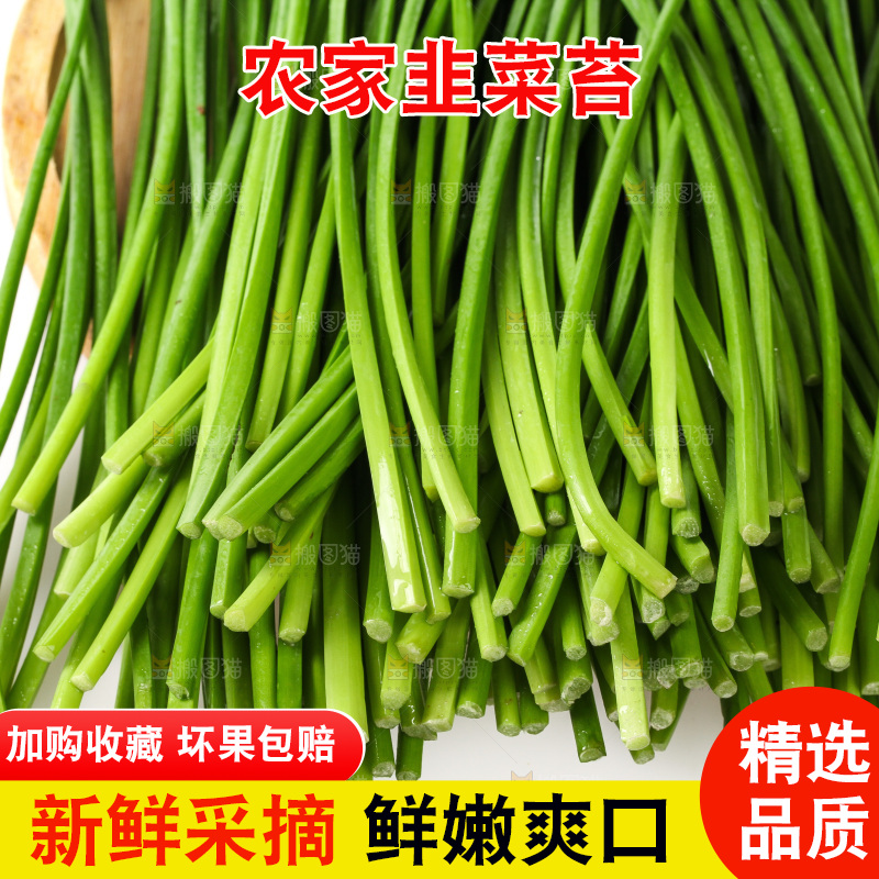 白底上的韭菜苔