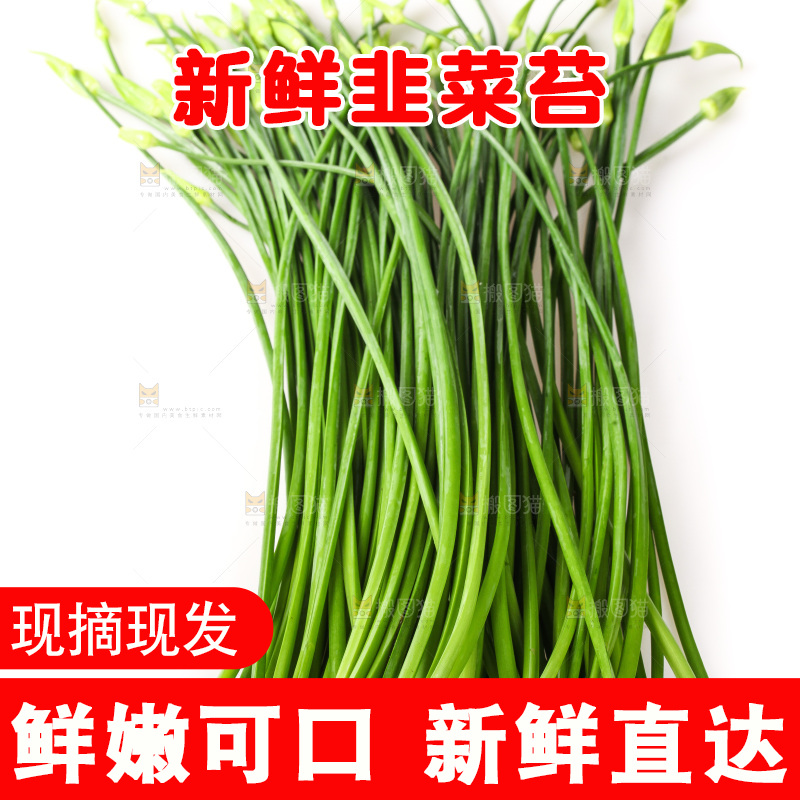 白底上的韭菜苔