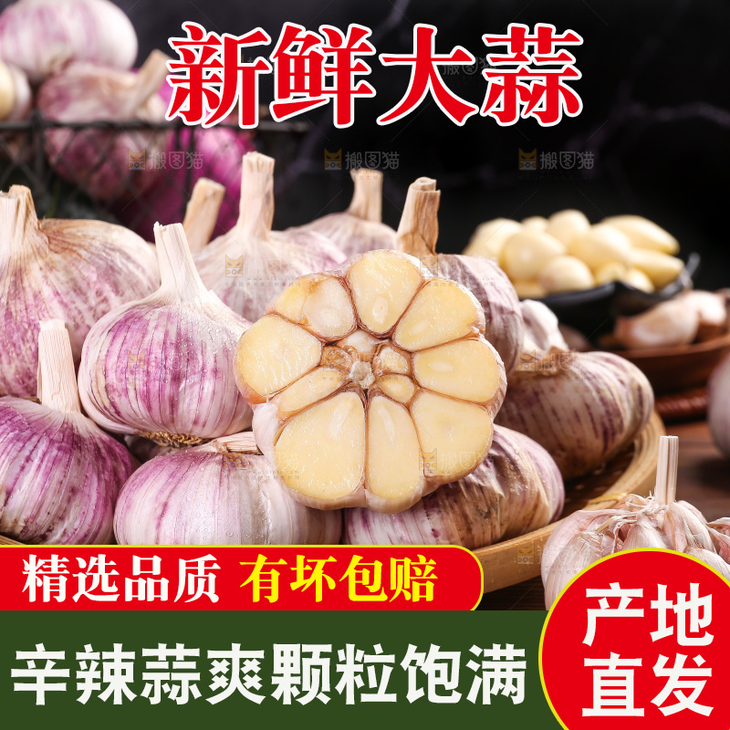 木底上的紫皮大蒜