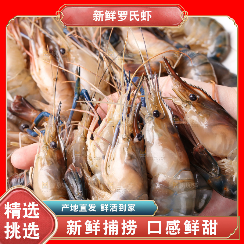 白底上的罗氏虾