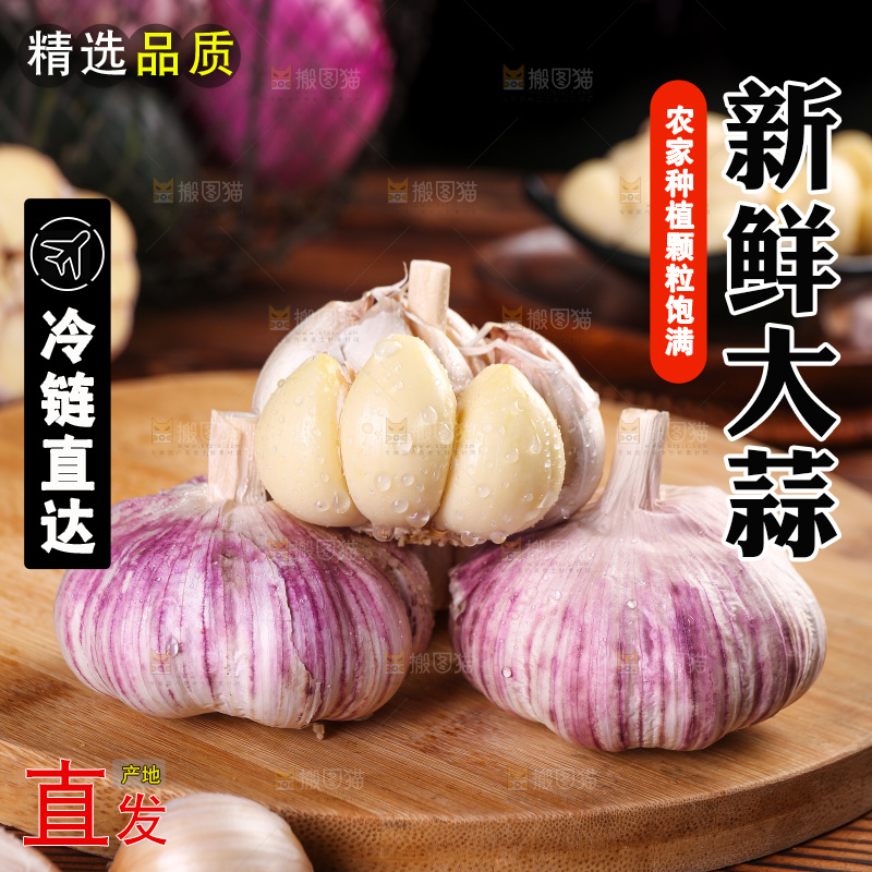 木底上的紫皮大蒜