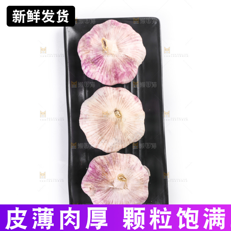 白底上的紫皮大蒜