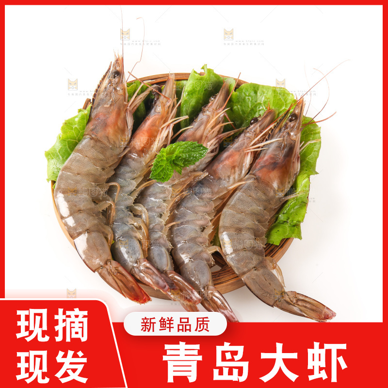 白底上的大虾