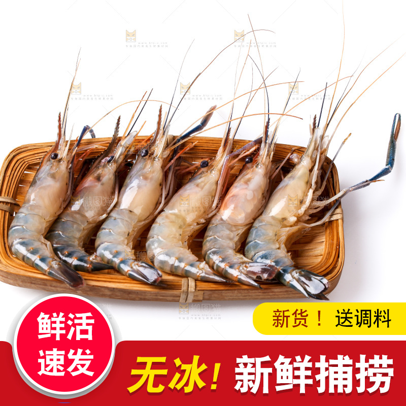 白底上的罗氏虾