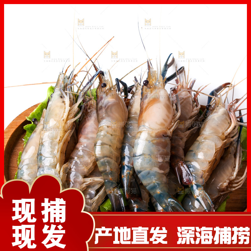 白底上的罗氏虾