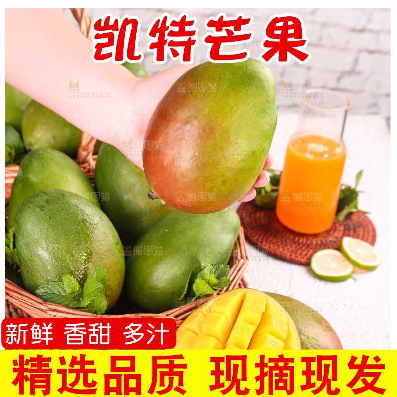 浅底上的凯特芒
