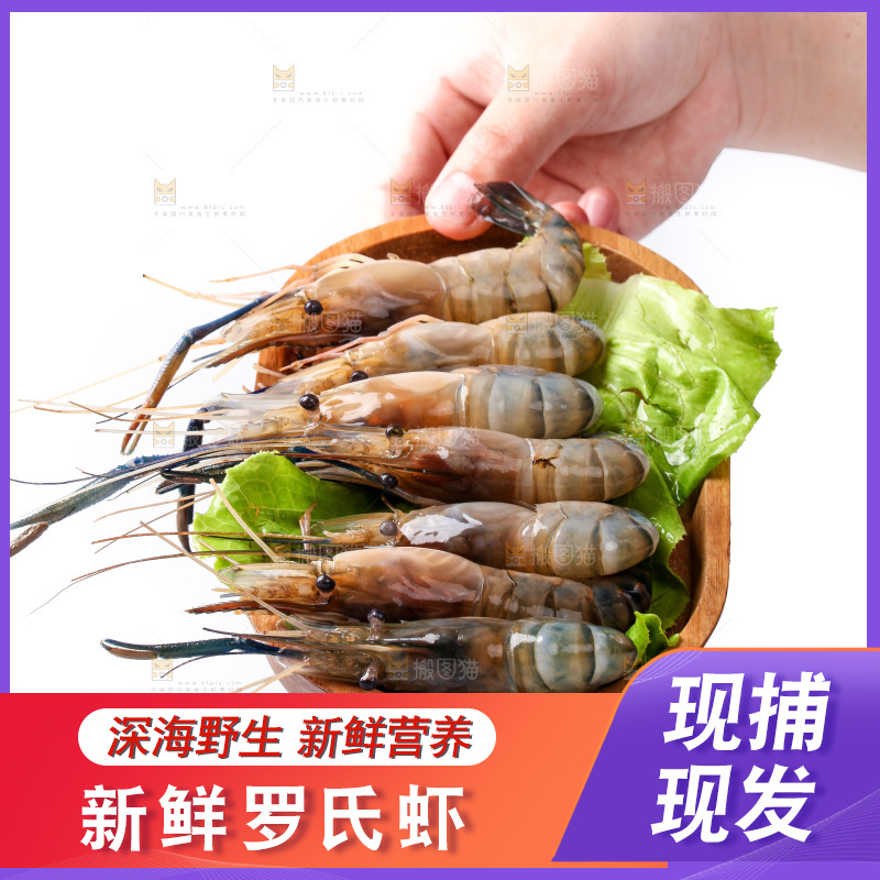 白底上的罗氏虾