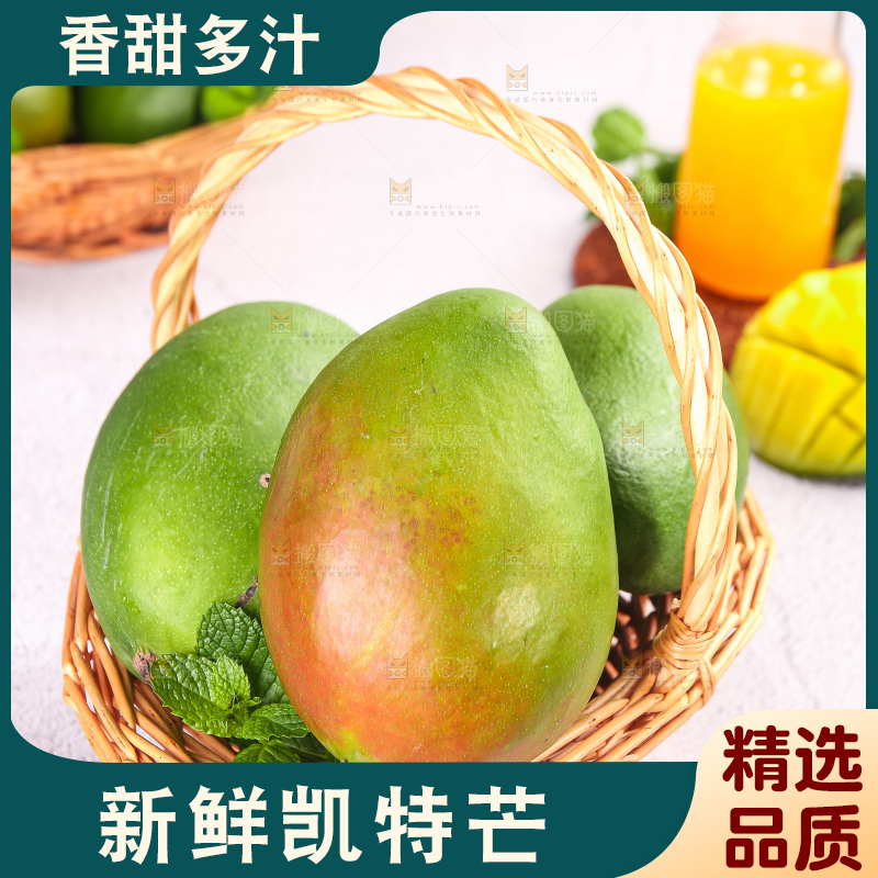 浅底上的凯特芒