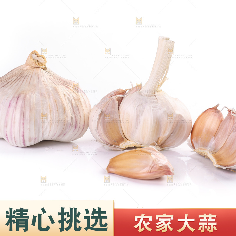 白底上的紫皮大蒜