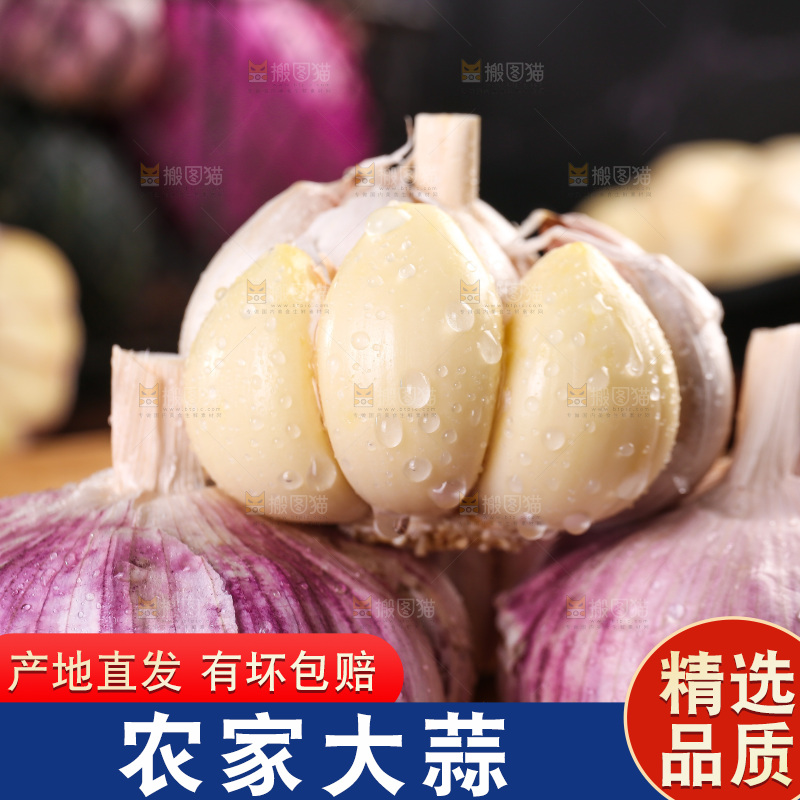 木底上的紫皮大蒜
