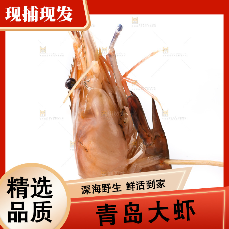白底上的大虾