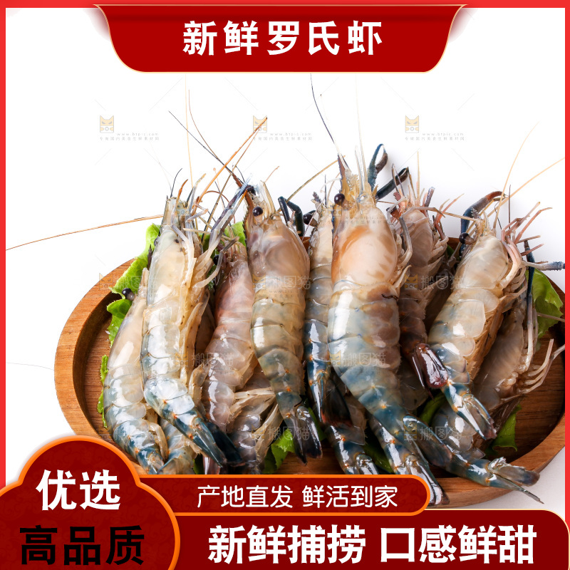 白底上的罗氏虾