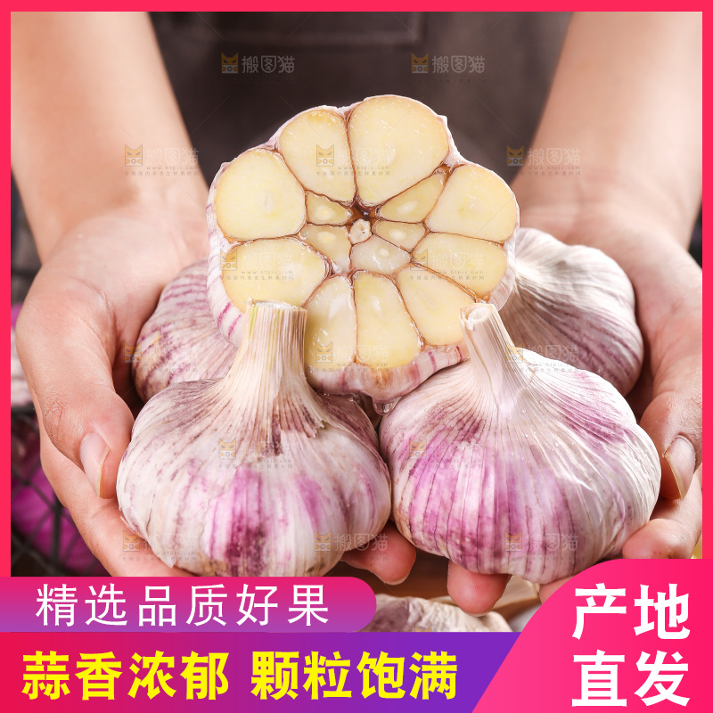 木底上的紫皮大蒜