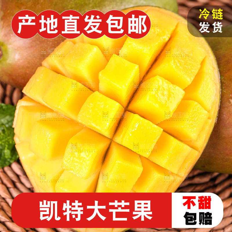 浅底上的凯特芒