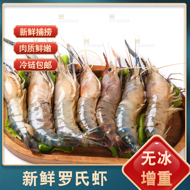 白底上的罗氏虾