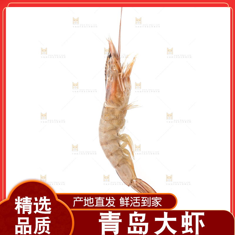 白底上的大虾