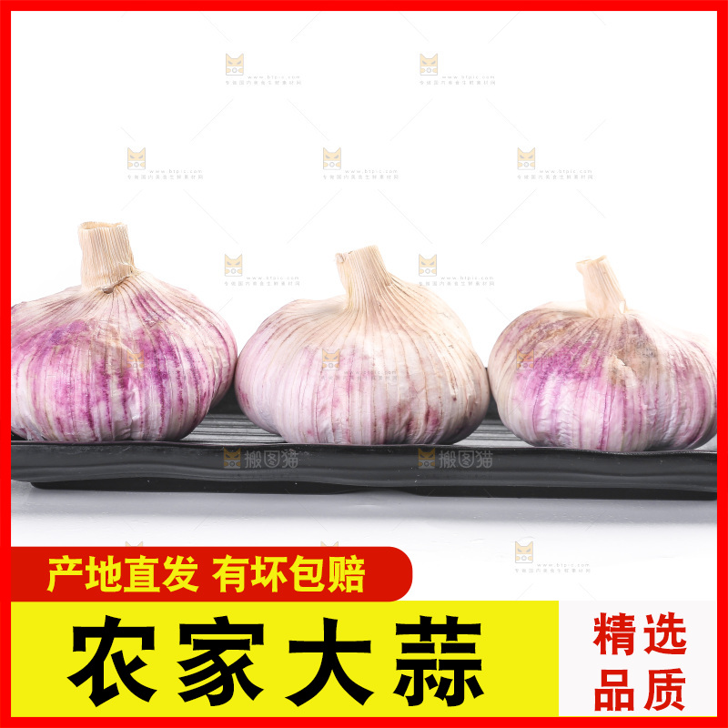 白底上的紫皮大蒜