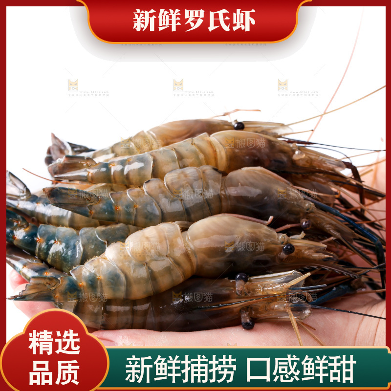 白底上的罗氏虾
