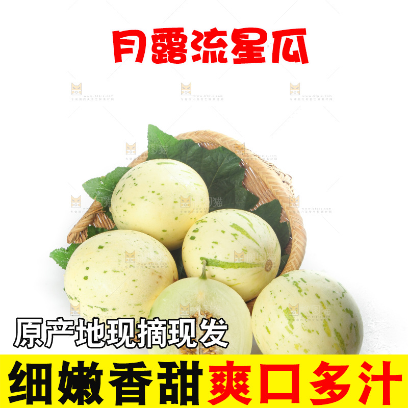 白底上的月露流星蜜瓜
