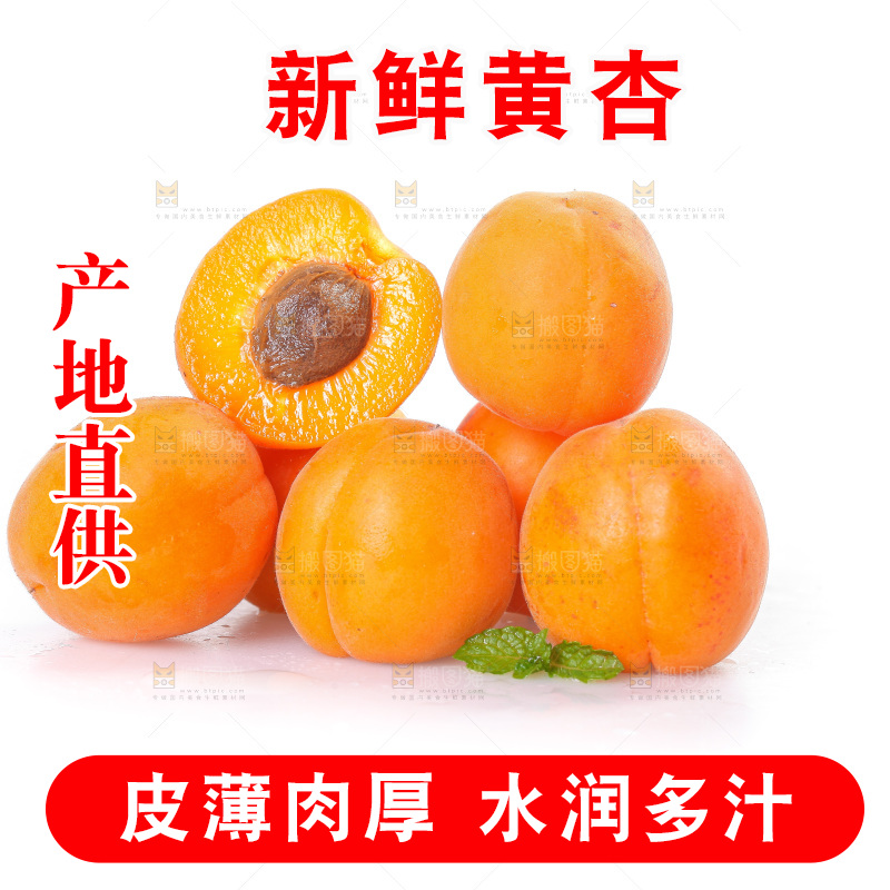白底上的大黄杏