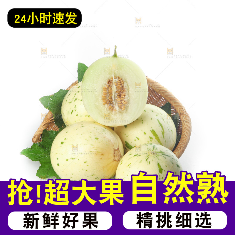 白底上的月露流星蜜瓜