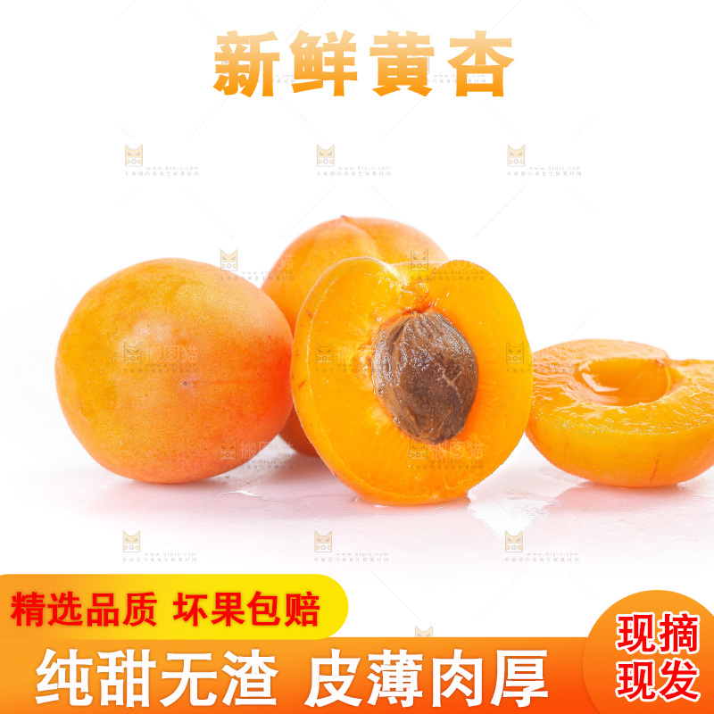白底上的大黄杏