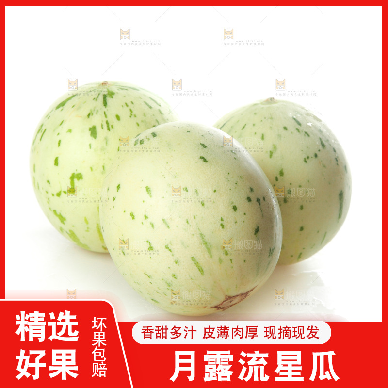 白底上的月露流星蜜瓜